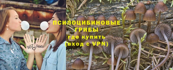 сатива Абаза