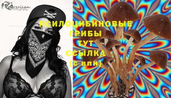 эйфоретик Михайловка