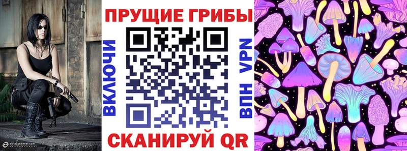 ОМГ ОМГ вход  хочу   Хилок  Галлюциногенные грибы мицелий 
